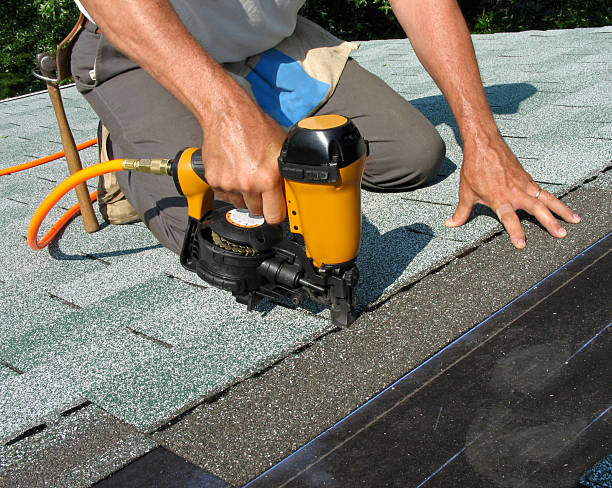 Best Roof Gutter Cleaning  in Greer, SC