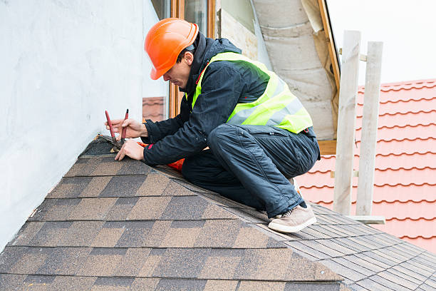 Roof Gutter Cleaning in Greer, SC